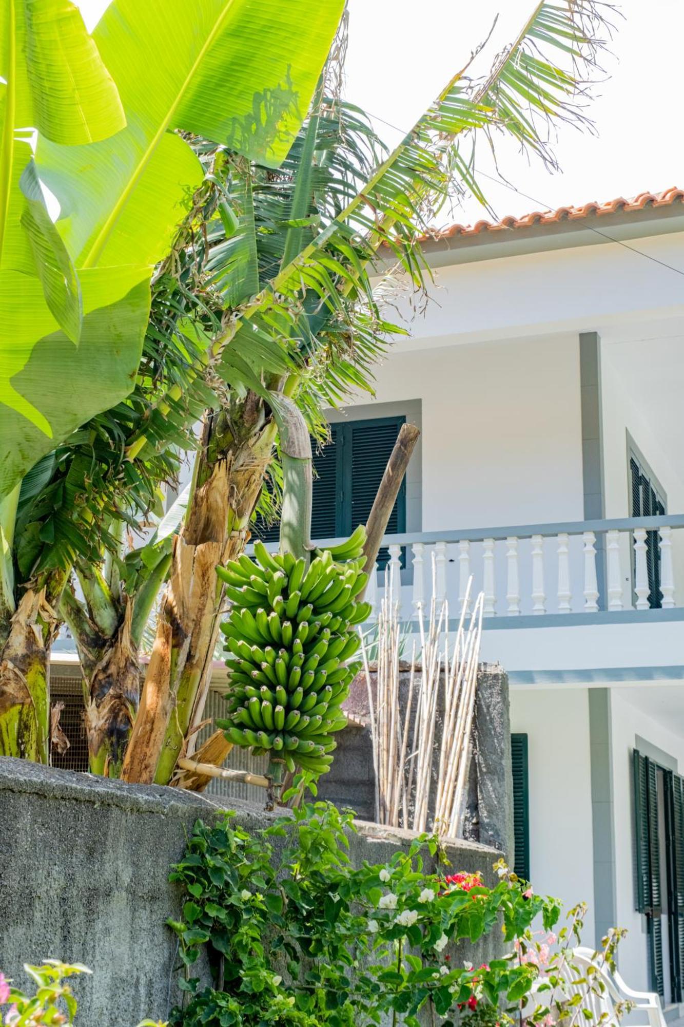 Sao Vicente Guest House 외부 사진